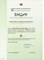 CAP - Certificado de Aptidão Professional